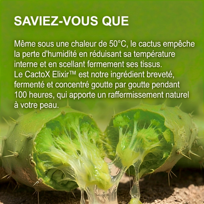 Bande de lifting en V Cactox Mewing (4 masques par paquet)