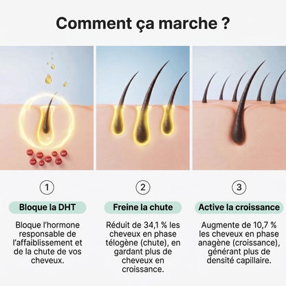 Comment ça marche : bloque la DHT, freine la chute, active la croissance