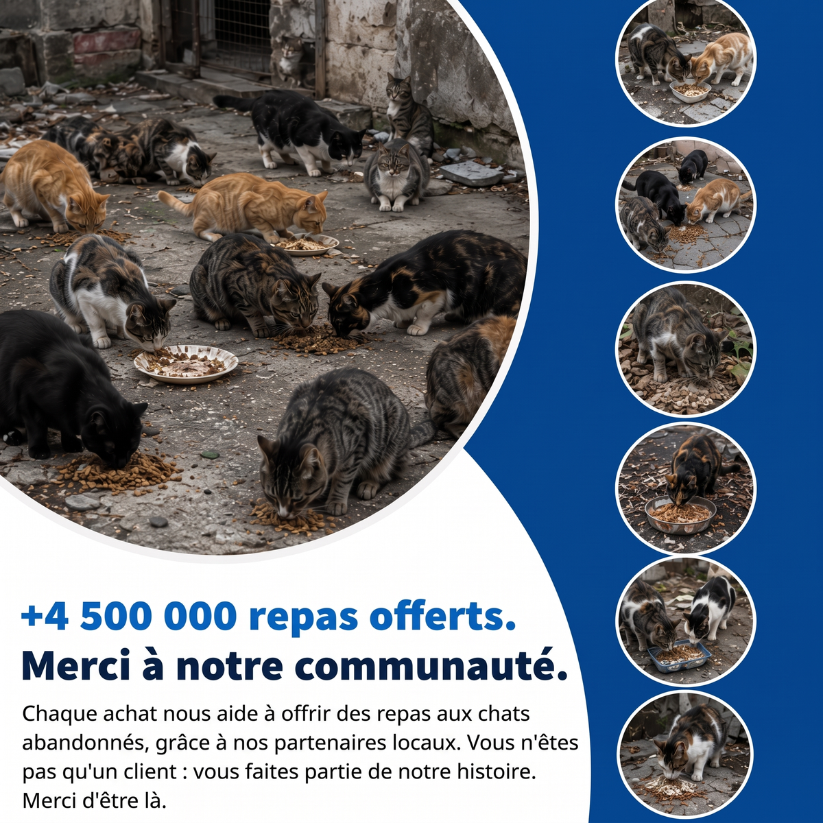 +4 500 000 repas offerts, merci à notre communauté